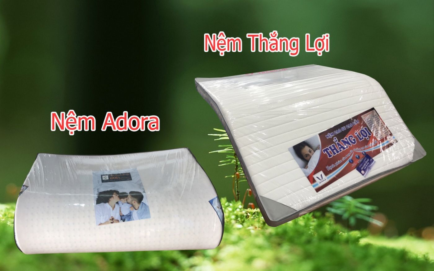 So sánh Nệm cao su non Thắng Lợi và Nệm Foam cao cấp Adora Classic