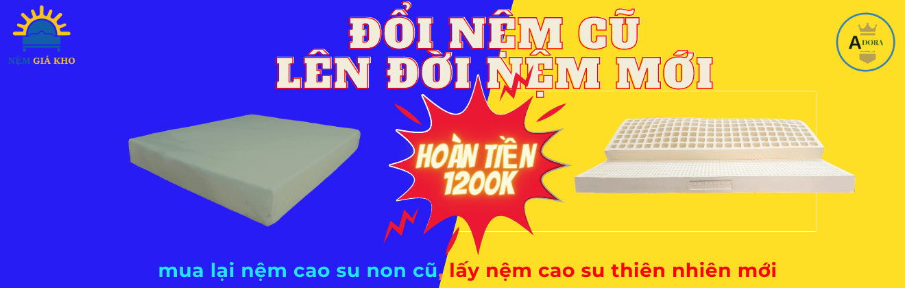 Ưu nhược điểm của nệm cao su Aroma 8 Đổi nệm cũ lấy nệm mới tại nemgiakho