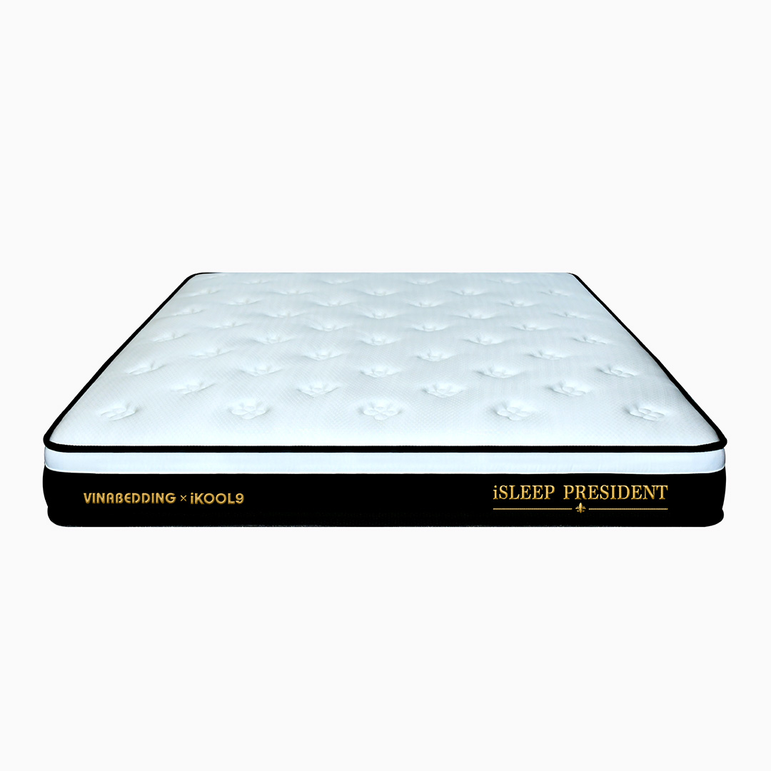 Nệm cao su iSleep President 3 Nệm cao su iSleep President - Ảnh 3
