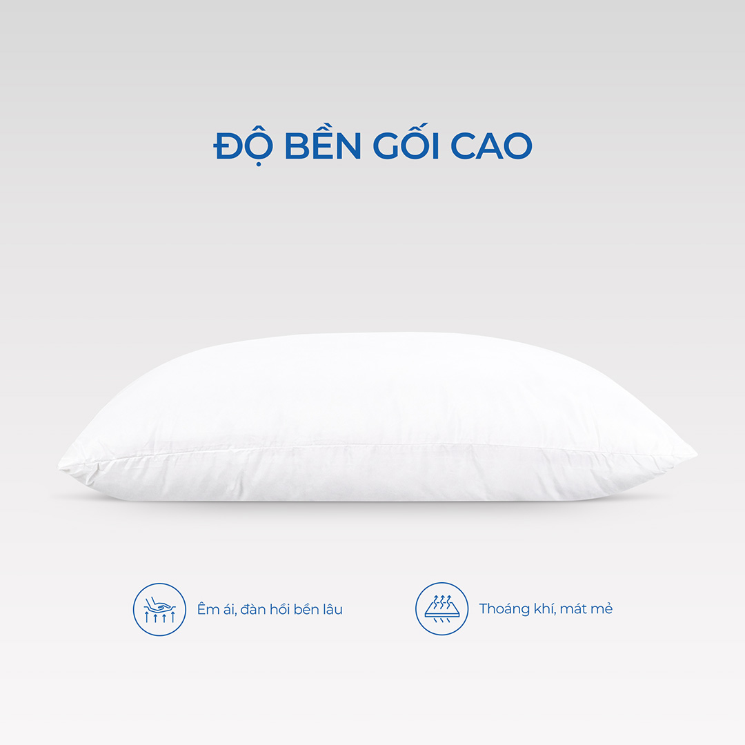 Gối Gòn Aroma 5 Gối Gòn Aroma - Ảnh 5
