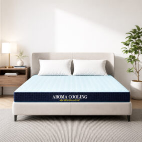 Nệm Foam Aroma Cooling