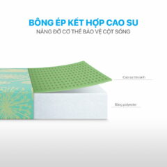 Nệm cao su bông Aroma 11 45645654564 240x240 0eceecc99b13aacf4ab60fd0416317e0