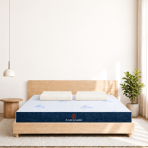 Nệm cao su Aroma Latex Cooling