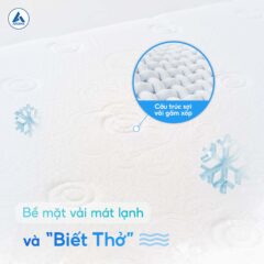 HINH 3 240x240 97071f234d07a18265827fc07ab2ab90