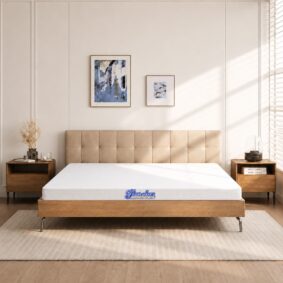 Nệm cao su Kim Cương PURELUX 3'Zone