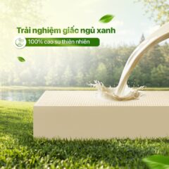 cao su thien nhien 240x240 25ea4898bf830fd121dca8c842a4fa3d