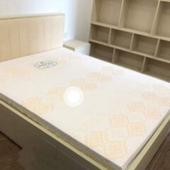 Đệm cao su Kim Cương PRINCESS GOLD (chi có ở miền bắc) 7 Đệm cao su Kim Cương PRINCESS GOLD (chi có ở miền bắc)