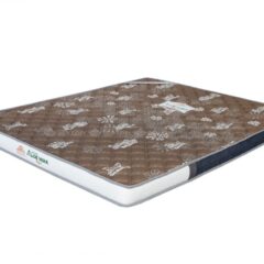 Đệm cao su tổng hợp Aloe vera flex 9 Đệm cao su tổng hợp Aloe vera flex