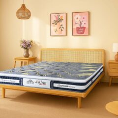 Đệm lò xo Kim Cương Asling Pro Max (chỉ có tại khu vực miền bắc)