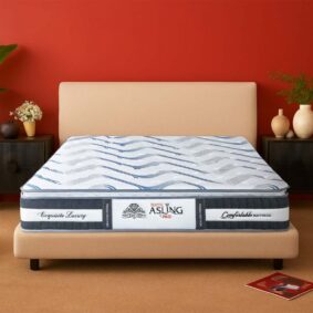 Đệm lò xo Kim Cương Eucoil Asling Pro (chỉ có ở miền bắc)