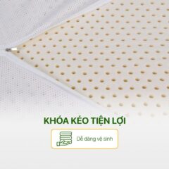 Gối cao su Aroma 15 Gối cao su Aroma