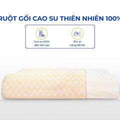 Gối cao su Kim Cương Siny A