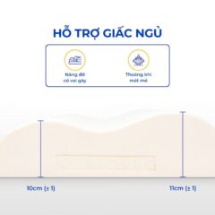 Gối cao su Kim Cương Siny A