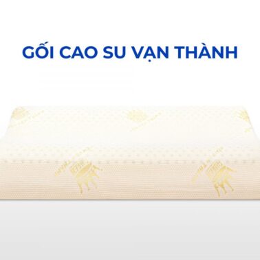 Gối cao su Vạn Thành