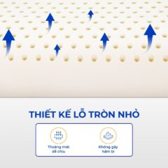 Gối cao su Vạn Thành 17 Gối cao su Vạn Thành