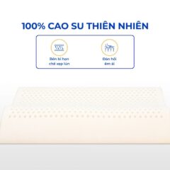 Gối cao su Vạn Thành 14 Gối cao su Vạn Thành
