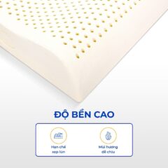 Gối cao su Vạn Thành 16 Gối cao su Vạn Thành
