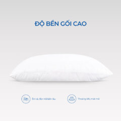 Gối Gòn Aroma 9 goi nam 240x240 52a05a672a4bb8c191e62bd361f3d7cf