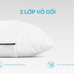 Gối nằm lông vũ Aroma