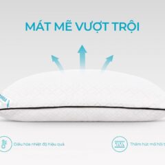 Gối nằm lông vũ Aroma