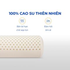 Gối ôm cao su Bolster Vạn Thành 10 Gối ôm cao su Bolster Vạn Thành