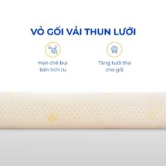 Gối ôm cao su Bolster Vạn Thành 9 Gối ôm cao su Bolster Vạn Thành
