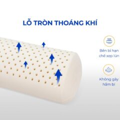 Gối ôm cao su Bolster Vạn Thành 11 Gối ôm cao su Bolster Vạn Thành