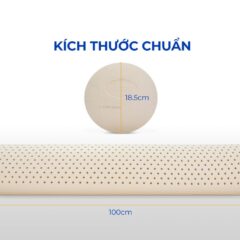 Gối ôm cao su Bolster Vạn Thành 8 Gối ôm cao su Bolster Vạn Thành