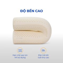 Gối ôm cao su Liên Á 13 Gối ôm cao su Liên Á