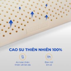 Gối ôm cao su Liên Á 12 Gối ôm cao su Liên Á