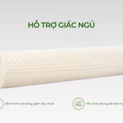 Gối ôm cao su thiên nhiên Aroma 8 Gối ôm cao su thiên nhiên Aroma