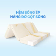 Nệm Bông Ép