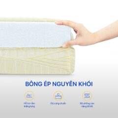 Nệm Bông Ép Aroma Fiber