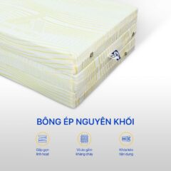 Nệm Bông Ép Aroma Fiber