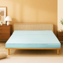 Nệm bông ép Edena chần gòn