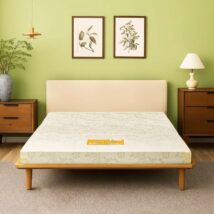 Nệm bông ép Vạn Thành Fantasy gấp 3 vải Tricat