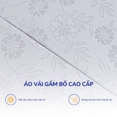 Nệm Bông Ép Xơ Dừa Coco
