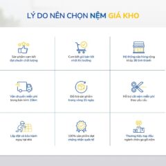 Nệm Bông Ép Xơ Dừa Coco