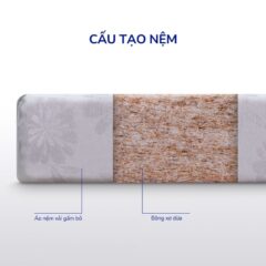Nệm Bông Ép Xơ Dừa Coco
