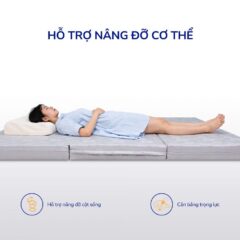Nệm Bông Ép Xơ Dừa Coco