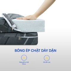 Nệm bông HT Aroma