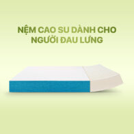 Nệm Cao Su