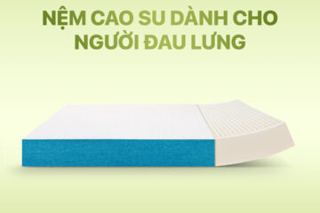 Nệm cao su cho người đau lưng: Cách chọn đúng để ngủ ngon