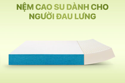 Nệm cao su cho người đau lưng: Cách chọn đúng để ngủ ngon