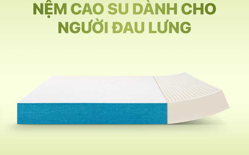 Nệm cao su cho người đau lưng: Cách chọn đúng để ngủ ngon