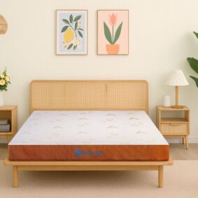 Nệm Aroma Foam Latex