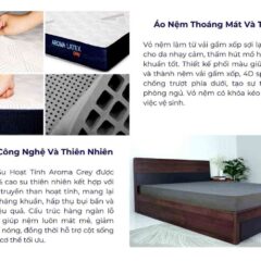 Nệm cao su Aroma Grey