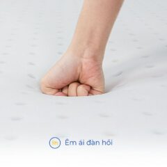 Nệm foam Như Ý 11 Nệm foam Như Ý