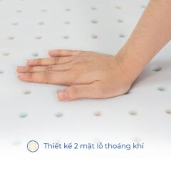 Nệm foam Như Ý 10 Nệm foam Như Ý