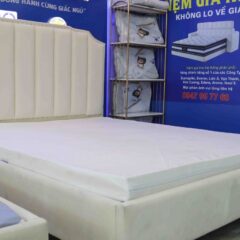Nệm Cao Su Vạn Thành Standard